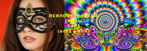 мдма Дмитриев