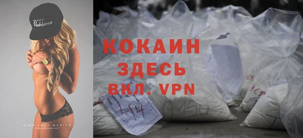 хмурый Дмитровск