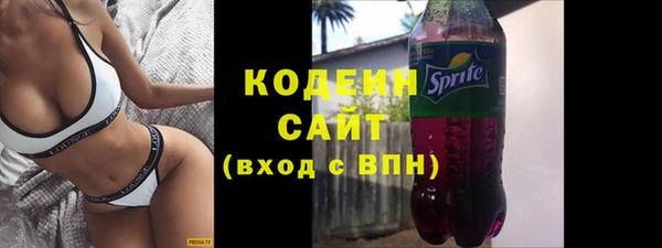 хмурый Дмитровск