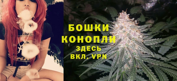 хмурый Дмитровск